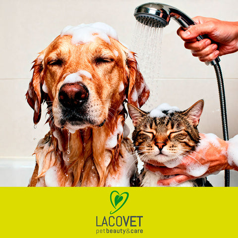 LACOVET - pet beauty&care