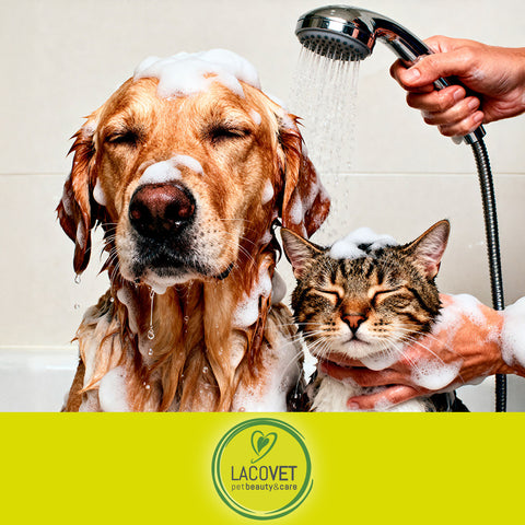 LACOVET - pet beauty&care